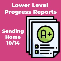 Lower Level Progress Reports
